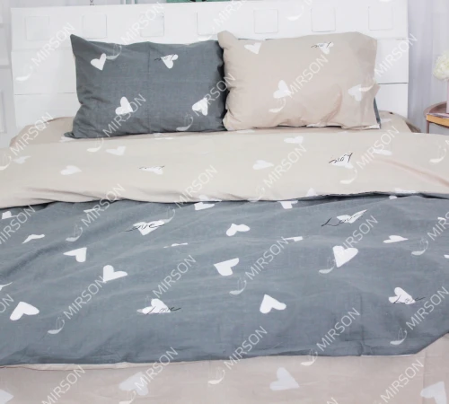 Комплект постільної білизни Бязь 17-0121 Ariel