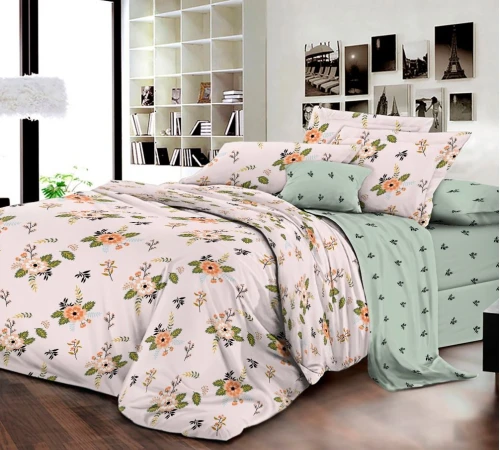 Комплект постільної білизни Бязь 17-0397 Derby