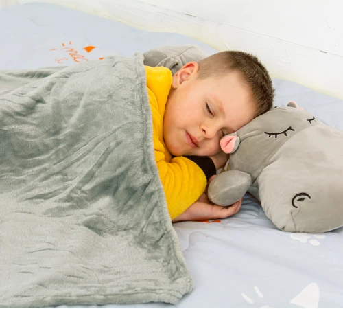Плед + подушка дитячі №1054 Hippopotamus Gray - 2