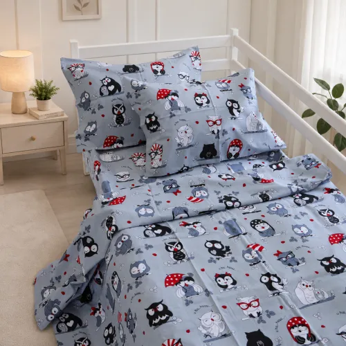 Комплект постельного белья Ranforce Elite TEENAGER 17-0672 Silver Owlets