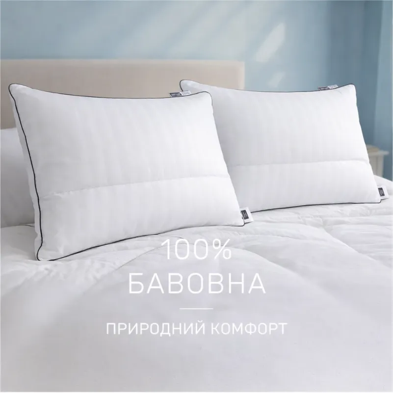 Набор шерсть №9565 "Royal" Wool Зима  (Одеяло + подушка) - 2