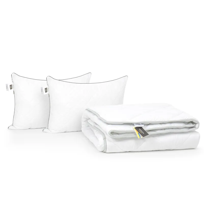 Набір антиалергенний №9589 "Royal" Ecosilk Зима (Ковдра + подушка)